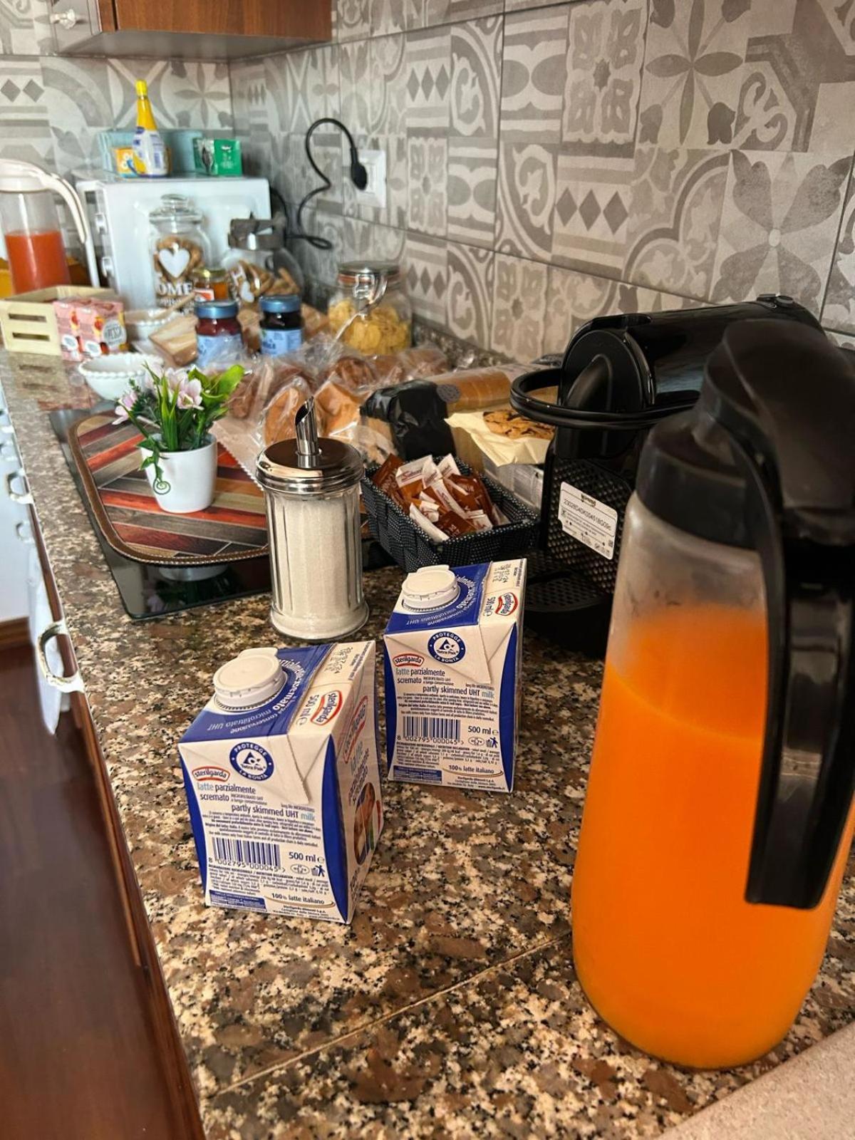 I 4 Mori Bed & Breakfast Fiumicino Ngoại thất bức ảnh